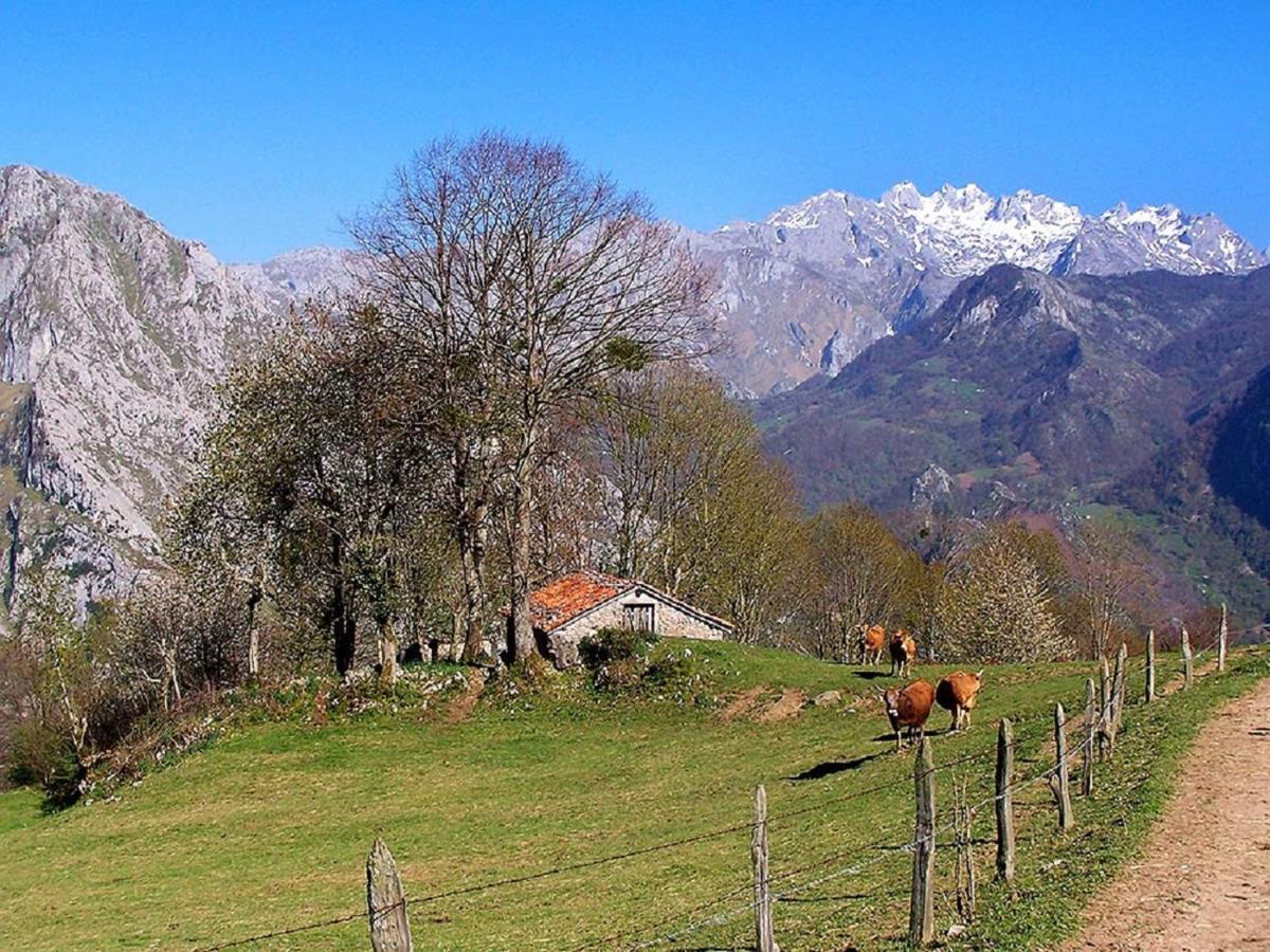 Penzion La Casona De Sames Exteriér fotografie